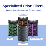 Levoit Eleva™ 300X Pet Activated Carbon Air Purifier Filter