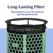 Levoit Eleva™ 300X Pet Activated Carbon Air Purifier Filter