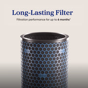 Levoit Eleva 500X Air Purifier Essential Carbon Filter