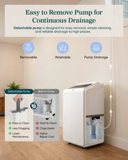 Levoit Smart Dehumidifier with 24/7 Pump Drainage