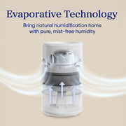 Levoit Superior™ Studio Smart Evaporative Humidifier
