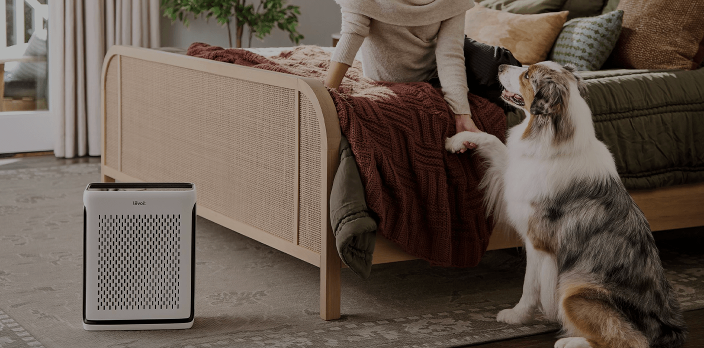 Cleaner Air &amp; Floorsfor Pet Homes
