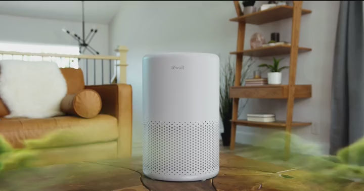Fresh Air for Every Room of Your Home video